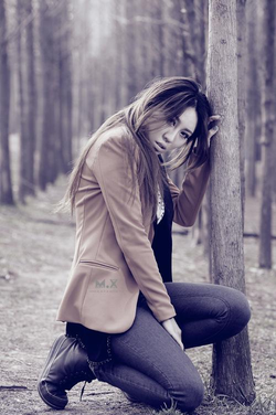 日本黄页网应用主界面展示